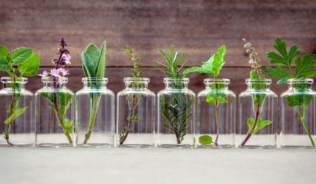 Top 9 Herbs for Health Management